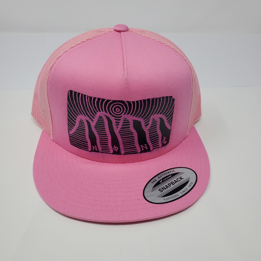 Pink Mesh Snap Back Cap