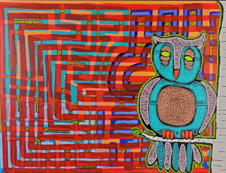 Lazer owl